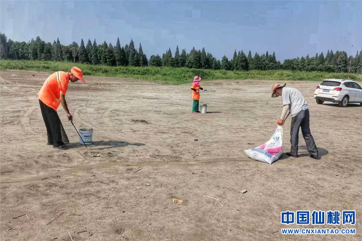 市环卫局：清理滩地垃圾 保护汉江环境