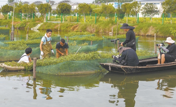 央视《山水间的家》走进先锋村 撒贝宁等沉浸式打卡...